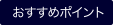 おすすめポイント